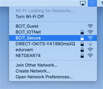 Web snippet of wifi networks.