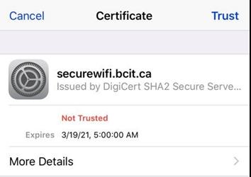 Web snippet of certificate window for ipad, ipod and iphone.