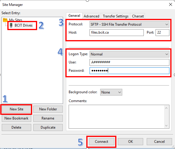 sftp filezilla how to