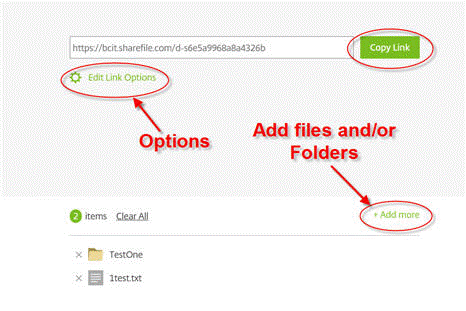 Copy link add files and-or folders and edit link options.
