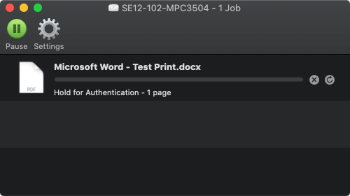 Microsoft word - test print hold for authentication window.