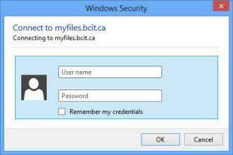 Windows security login window.