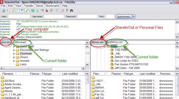 Filezilla sharein shareout folder showing local site and remote site.