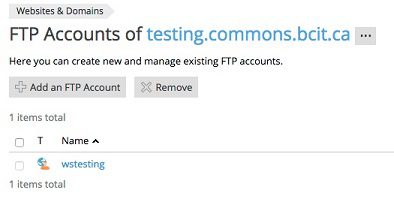 add an additional ftp account in Plesk