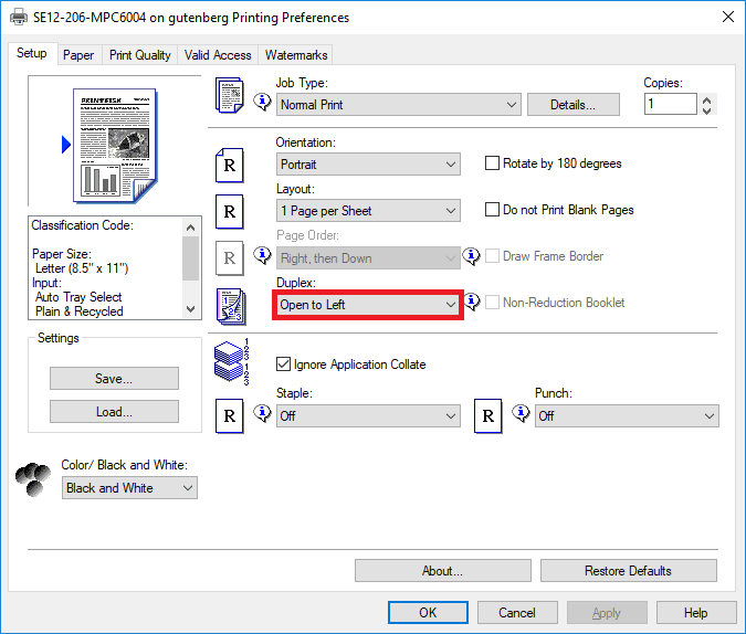 Screen shot on setting up 2 sided printing