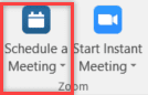 zoom icon schedule a meeting.