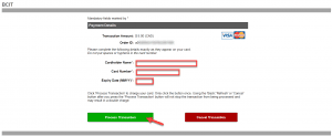 A webpage screenshot with the title Payment Details. Highlighted are fields to enter credit card information and a red arrow pointing to a green button that says Process Transaction