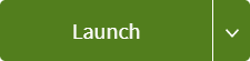 screen capture of a green button with Launch in white text