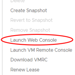 VM Action menu with "Launch Web Console" circled in red