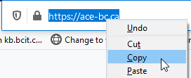 browser address bar showing the address for the new Academic Comunication Equity of BC website address 