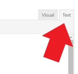 Red arrow pointing to Text tab at top right of editor
