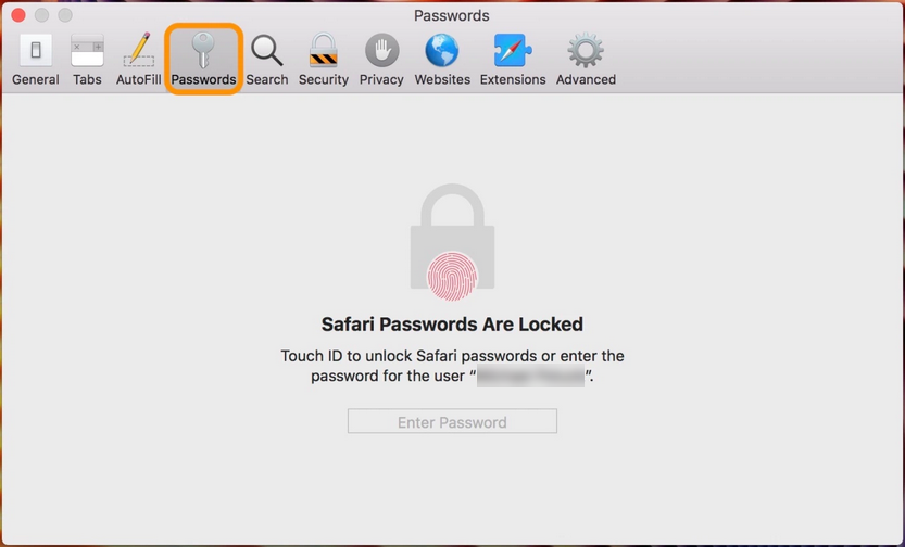 Passwords tab in the Safari preferences window, showing a request to either use touch ID or the current user's password in order to unlock passwords