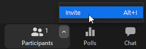 Zoom meeting controls showing the Participants menu and the Invite option