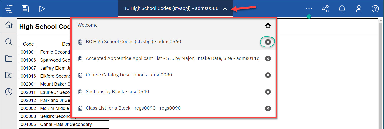 Screenshot Cognos Welcome Menu icon