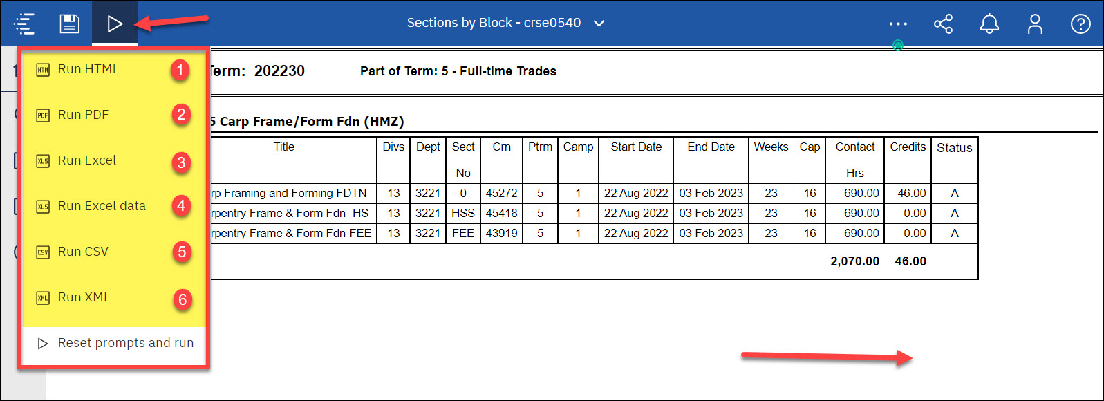 Screenshot Cognos output formats from Run as button