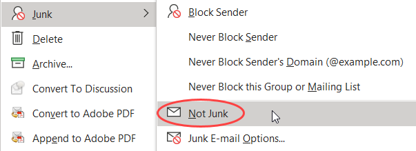 contextual menu showing the options for dealing with Junk messages