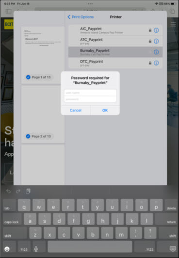 Screenshot setting up printer on Apple devices iPad and iPhone Password