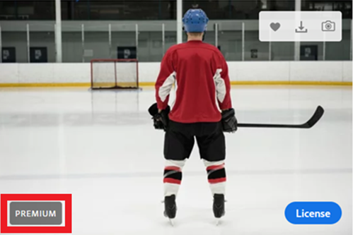 thumbnail image of red-shirted hockey player facing away on a hockey rink with grey premium marker at bottom left