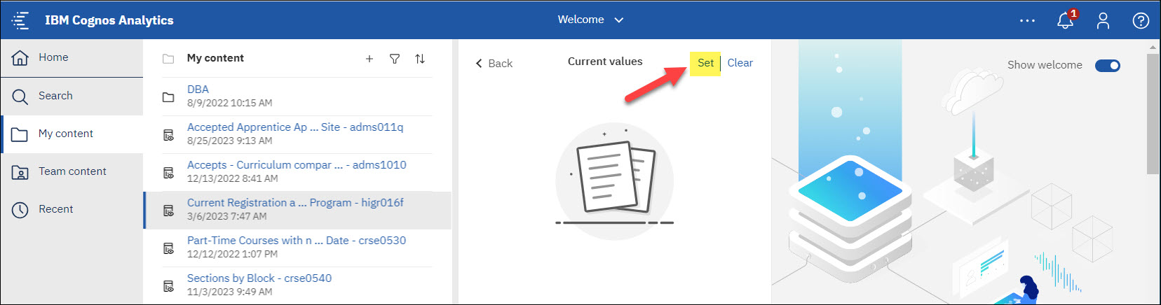 Screenshot Cognos Setting Report values and clicking on Set button