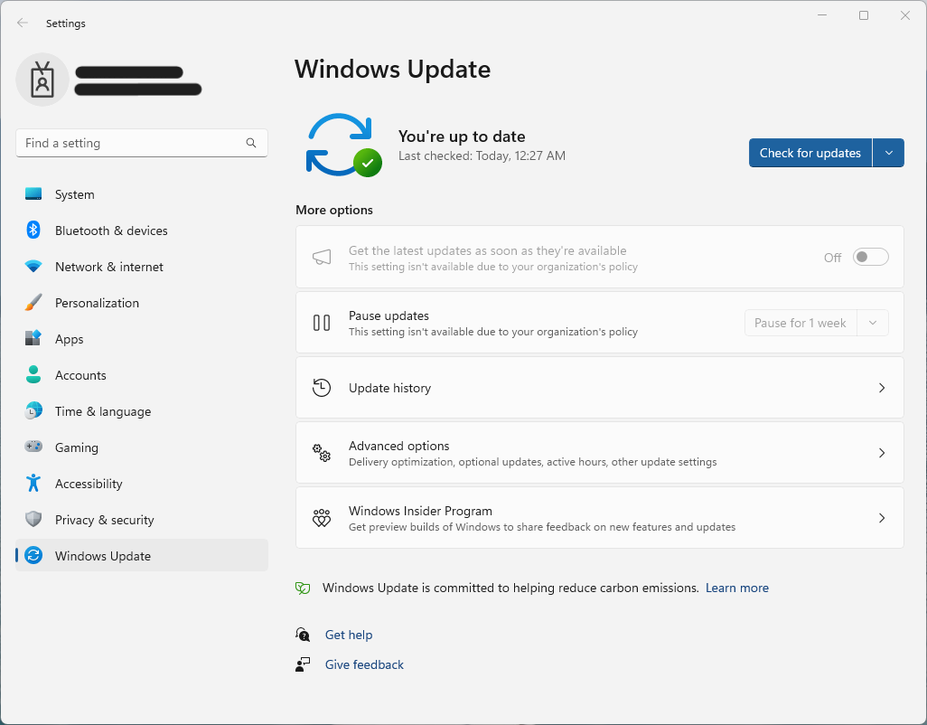 Company Portal - Windows Update install