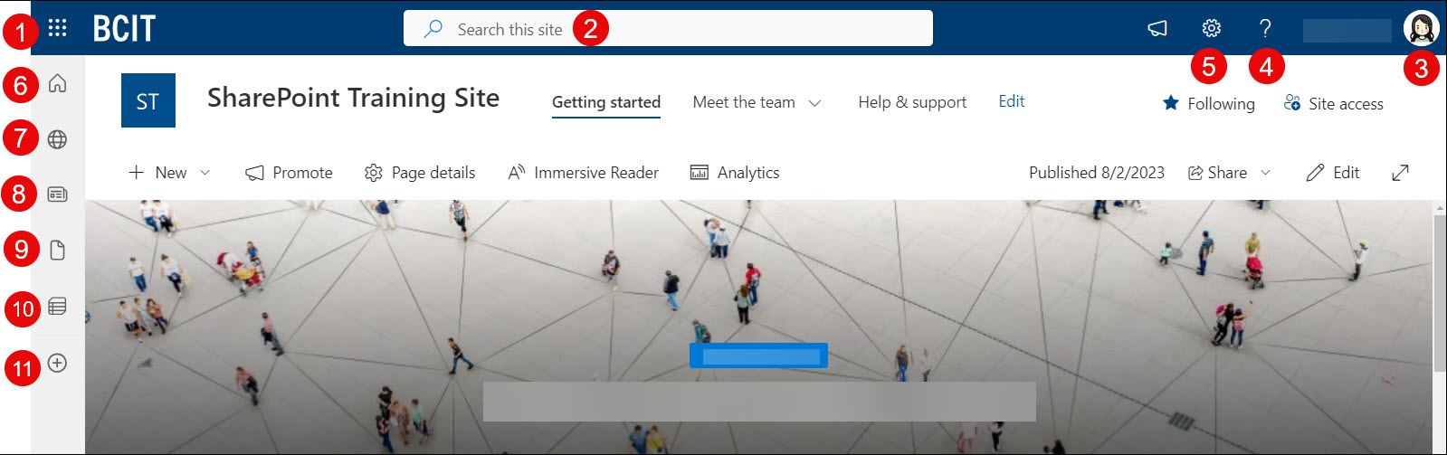 SharePoint Navigation and Suite Bar info