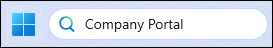 Screenshot Search bar Company Portal