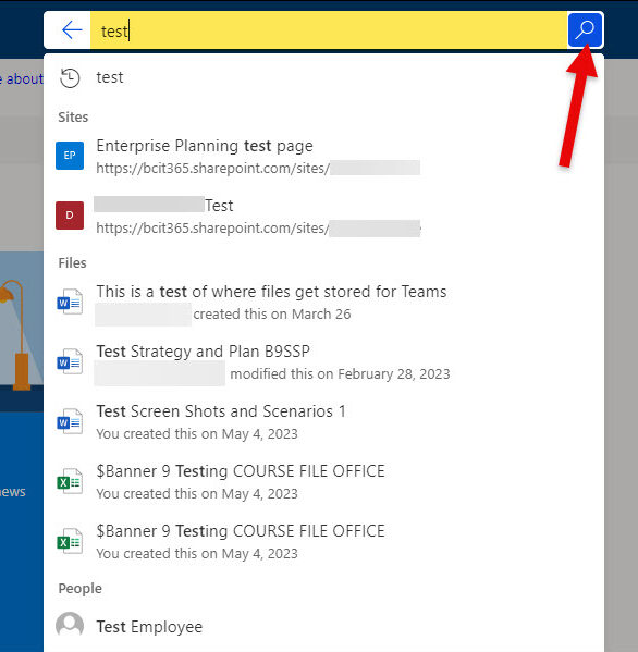 SharePoint Search bar and click enter or magnifying glass