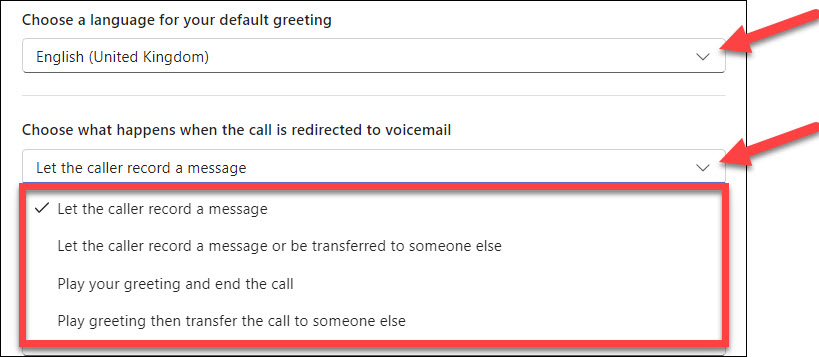 Screenshot MS Teams Phone Voicemail choosing language and how call is redirected to voicemail